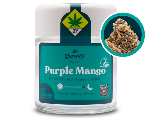 Dewey Cannabis Purple Mango