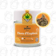 Dewey Cannabis Flora d'Explora