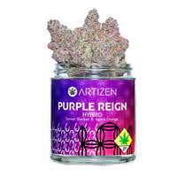 Artizen Purple Reign