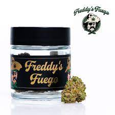 Freddy's Fuego Ice Cream Mintz