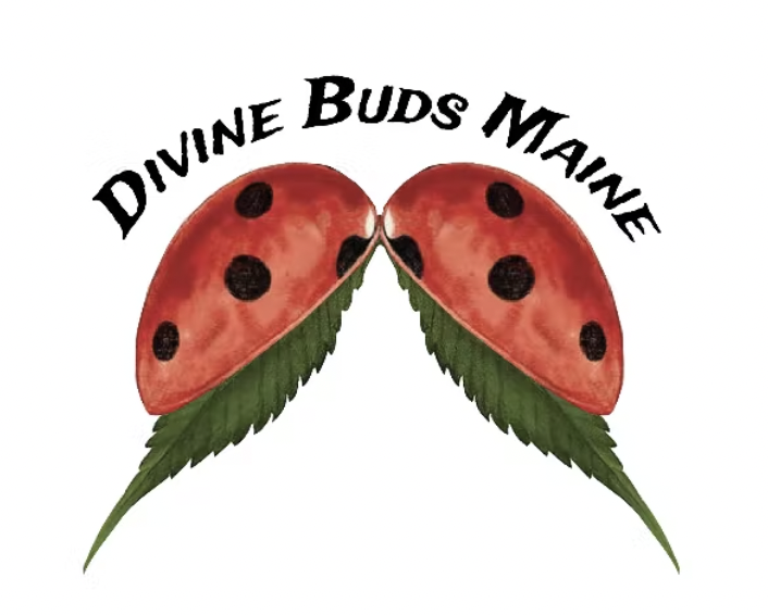 Divine Buds Forbidden Fruit