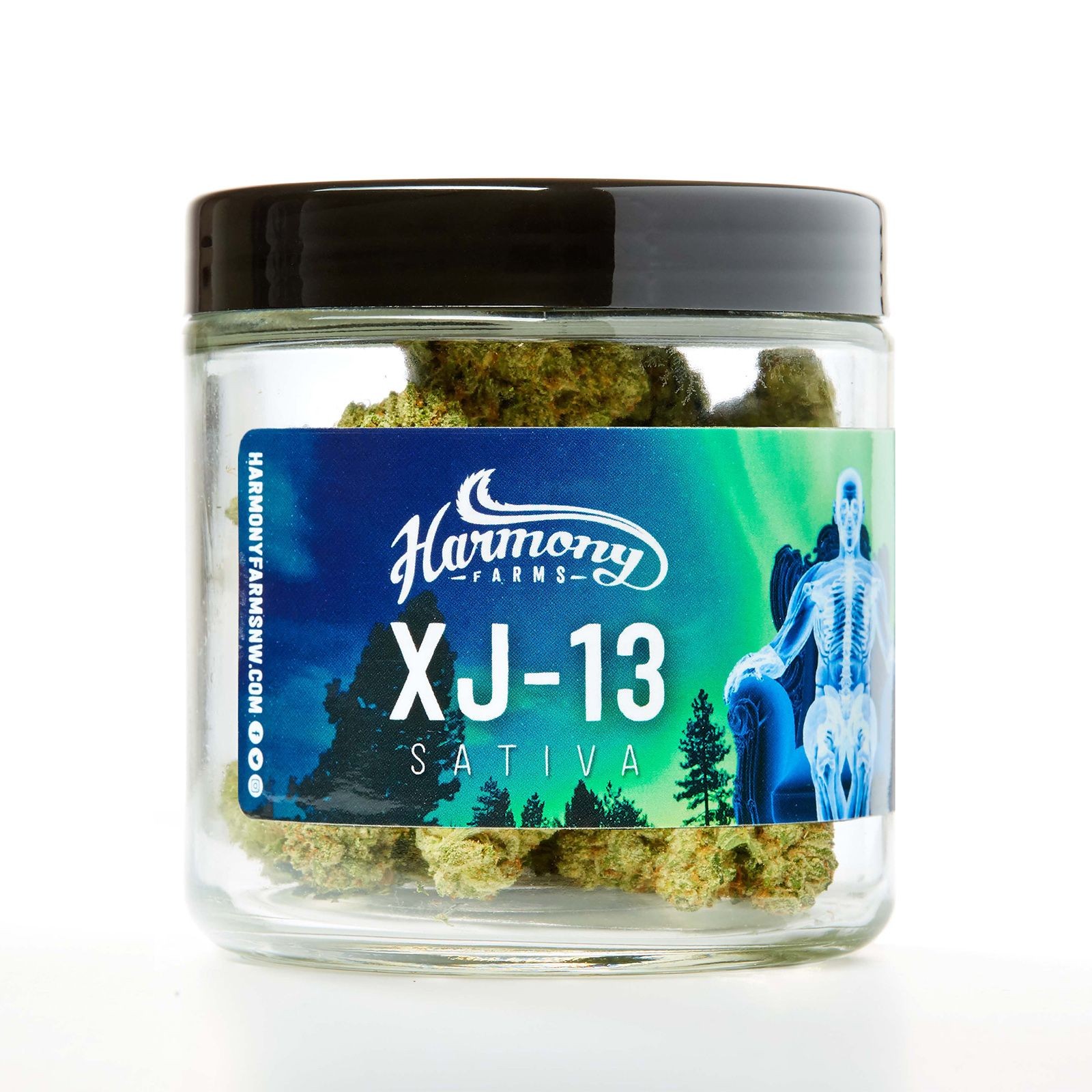 Harmony Farms XJ-13