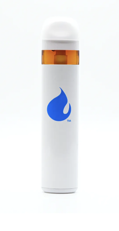 Refine Girl Scout Glue Loud Disposable