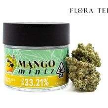 Flora Terra Mango Mintz