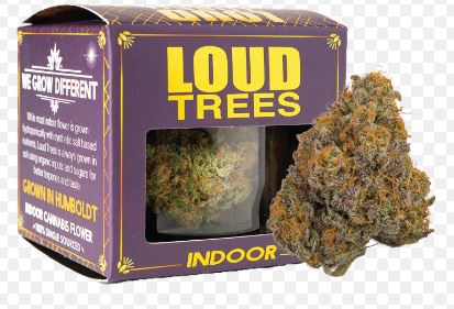 Loud Trees Gakmo