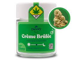 Dewey Cannabis Creme Brulee